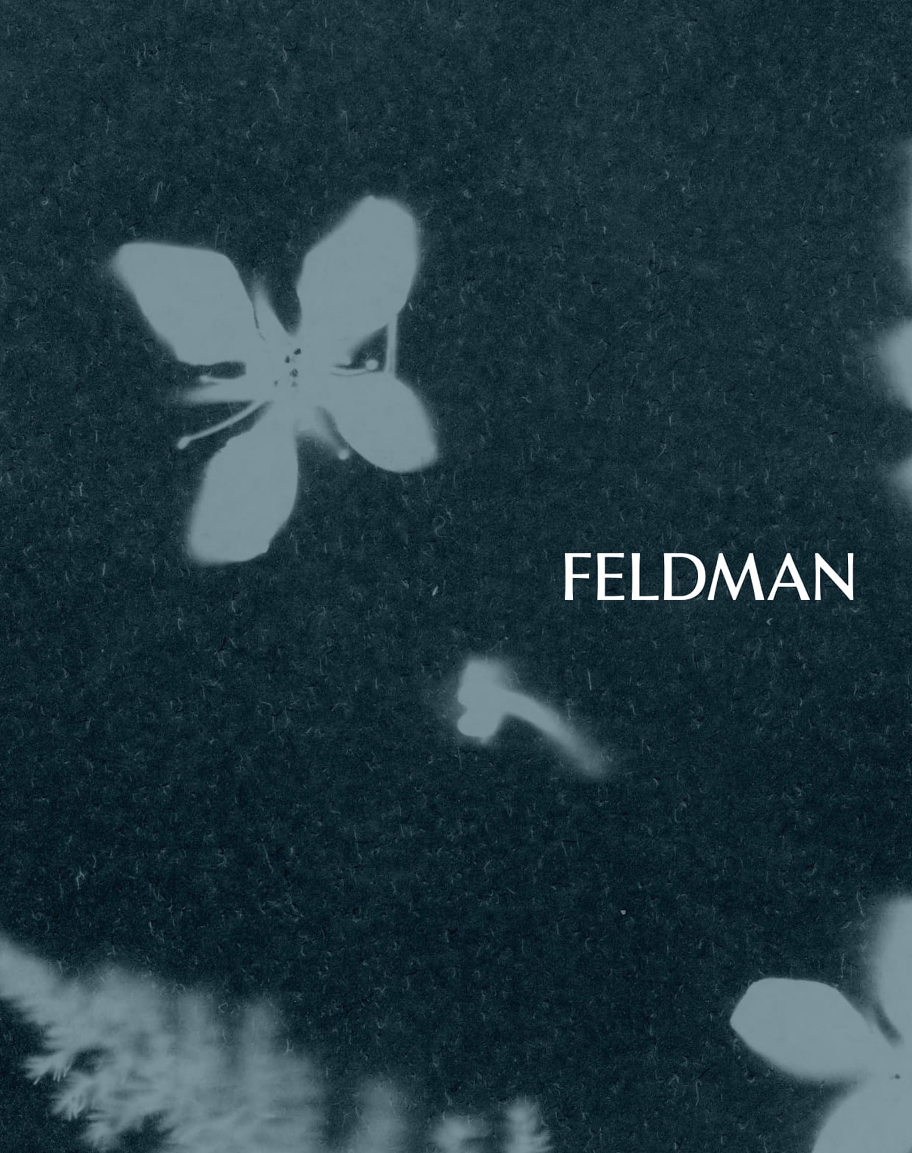 Feldman Logotype